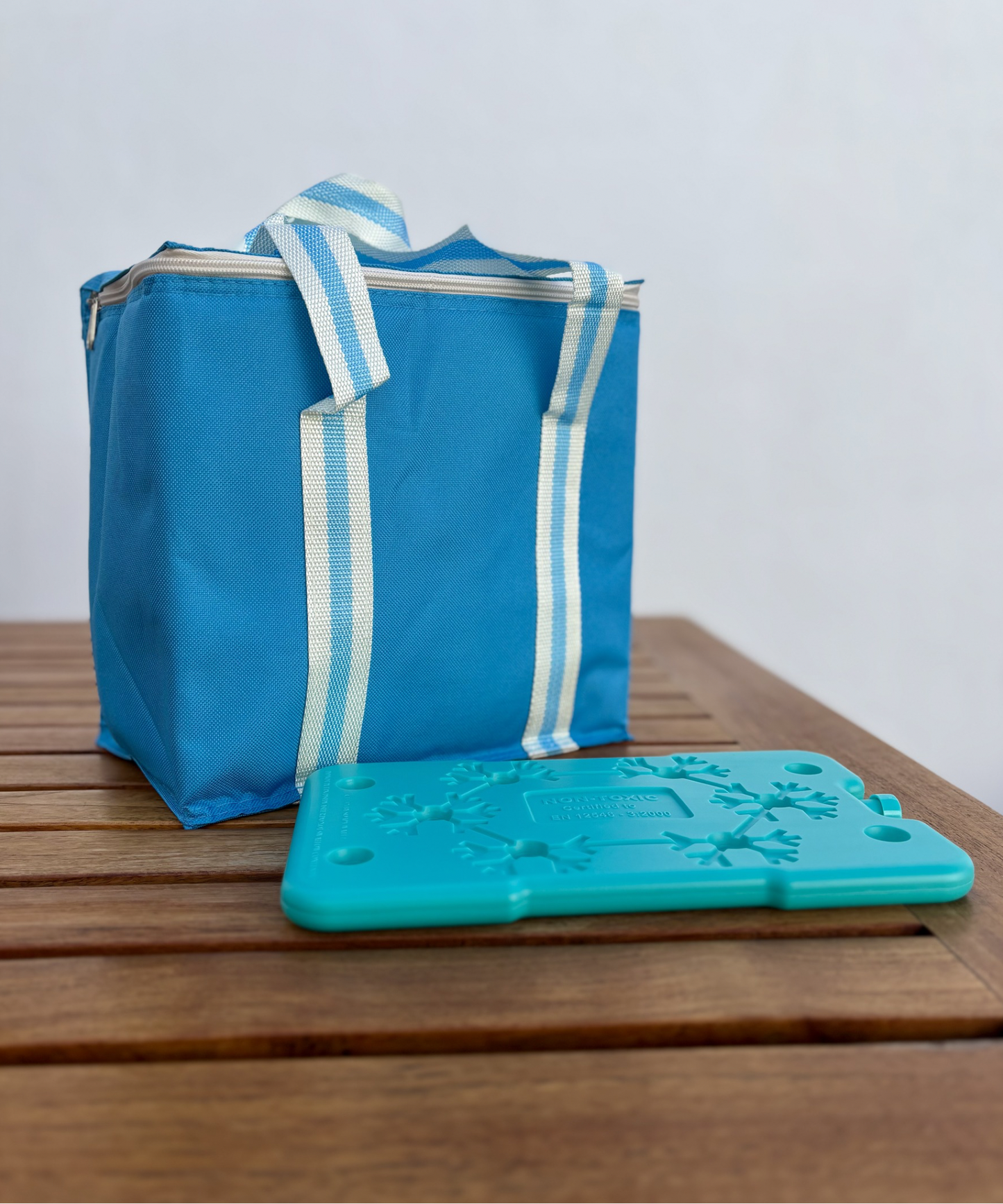 Bolsa Nevera Térmica 10L