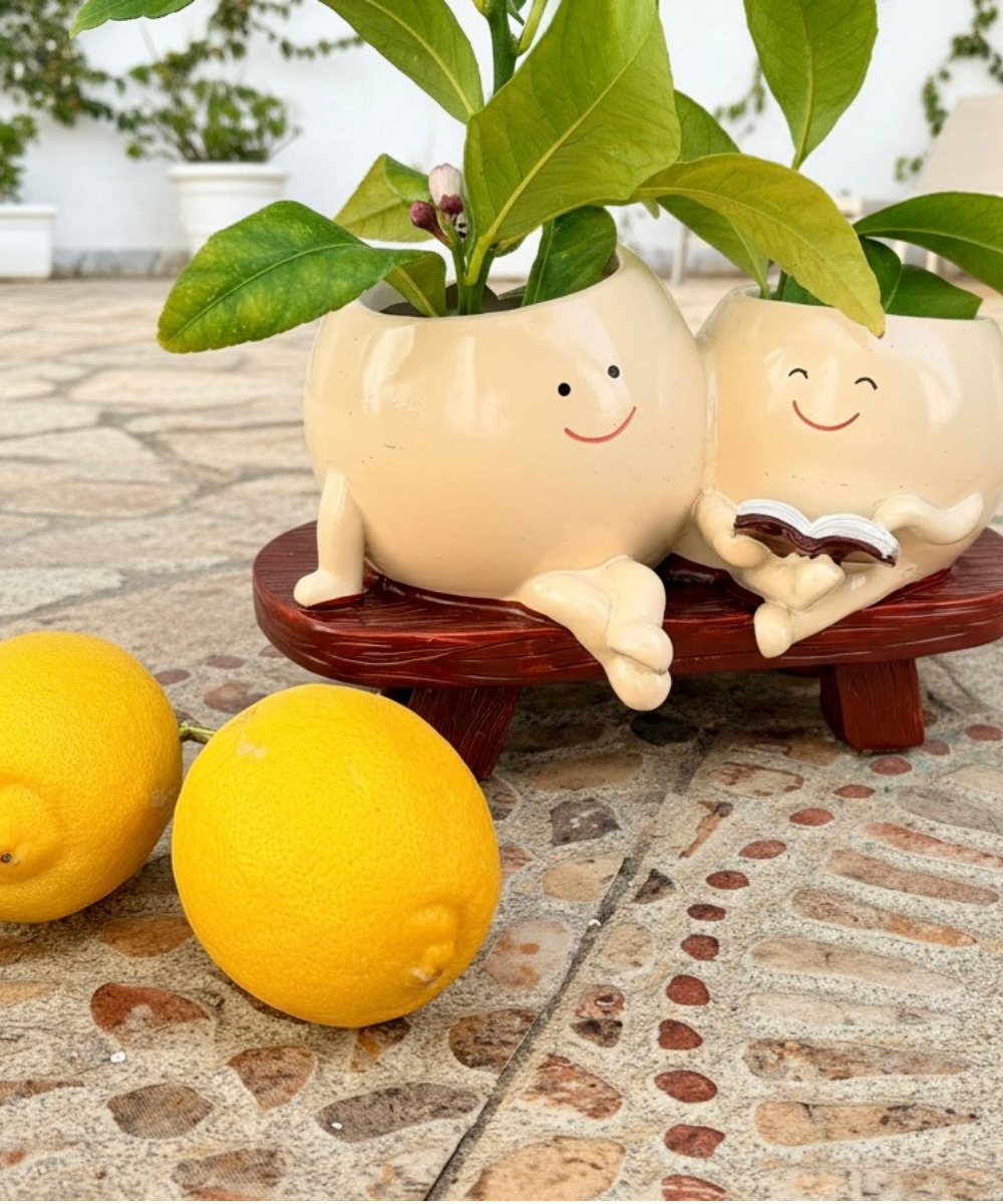 Macetero Green Friends con diseño de cara en tonos beige y marrón, macetero original para plantas pequeñas y decoración moderna del hogar