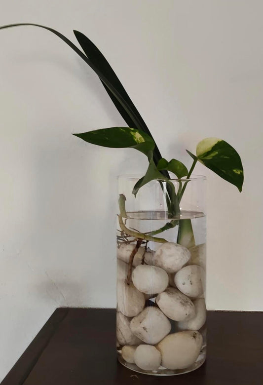 Florero Minimalista Tubular – Cristal Claro 10x20 cm